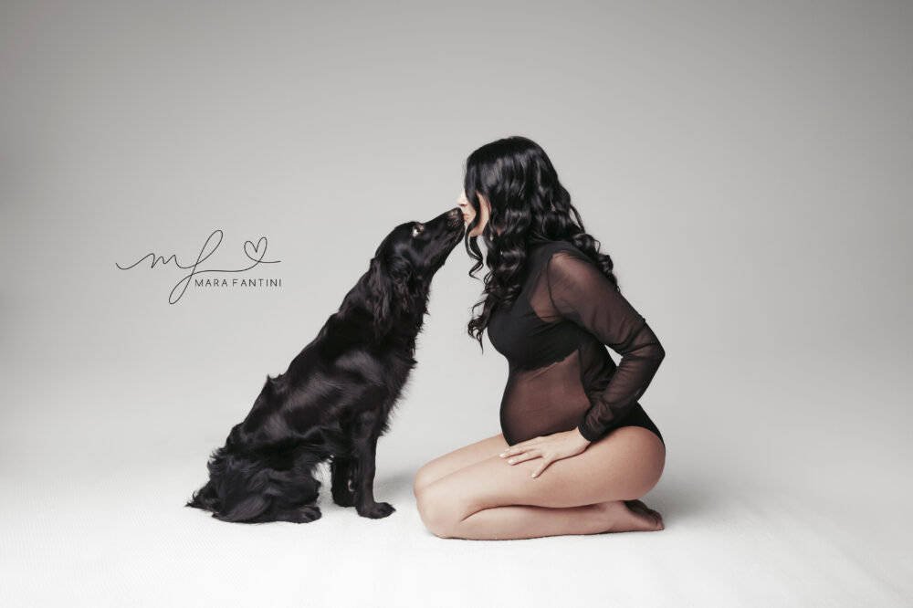 Foto gravidanza con cane a Roma — mamma con cocker spaniel nero